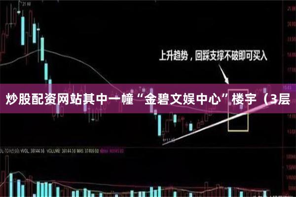炒股配资网站其中一幢“金碧文娱中心”楼宇（3层