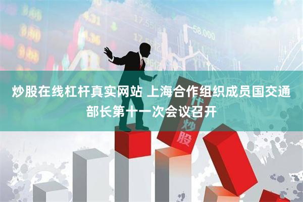 炒股在线杠杆真实网站 上海合作组织成员国交通部长第十一次会议召开