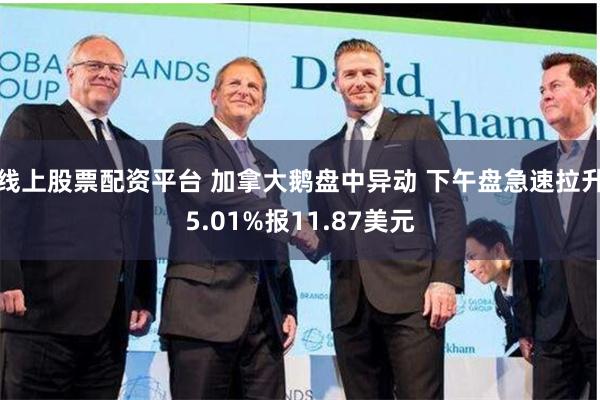 线上股票配资平台 加拿大鹅盘中异动 下午盘急速拉升5.01%报11.87美元