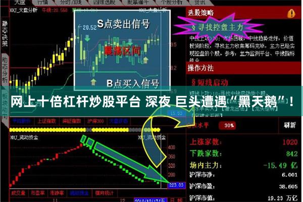网上十倍杠杆炒股平台 深夜 巨头遭遇“黑天鹅”！