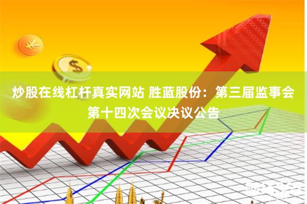 炒股在线杠杆真实网站 胜蓝股份：第三届监事会第十四次会议决议公告