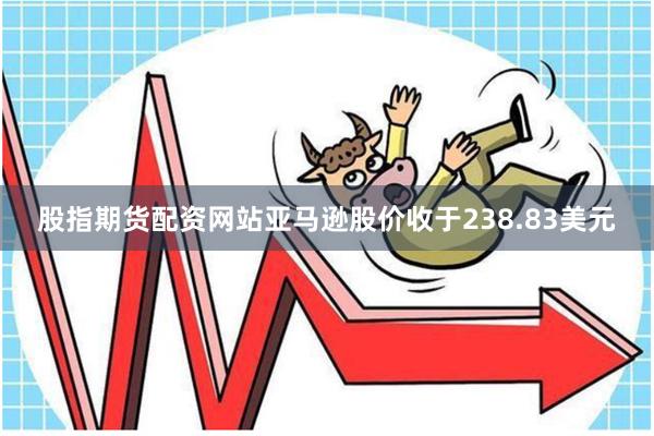 股指期货配资网站亚马逊股价收于238.83美元