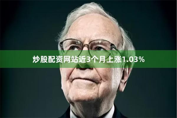 炒股配资网站近3个月上涨1.03%